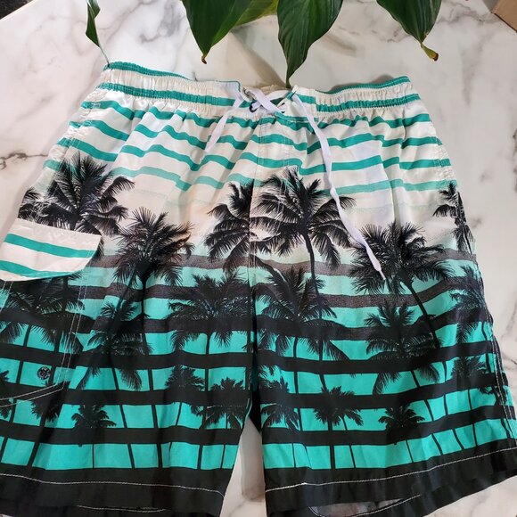 APTRO Palm Trees Print Men's Swim Trunks size 2XL - Picture 1 of 16